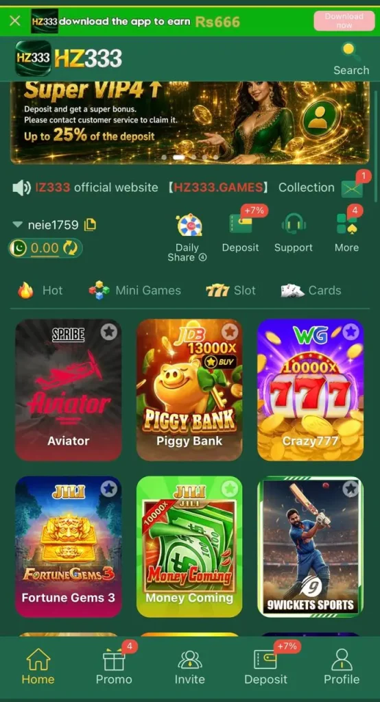 Hz333 Game 