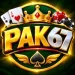 Pak67 Game